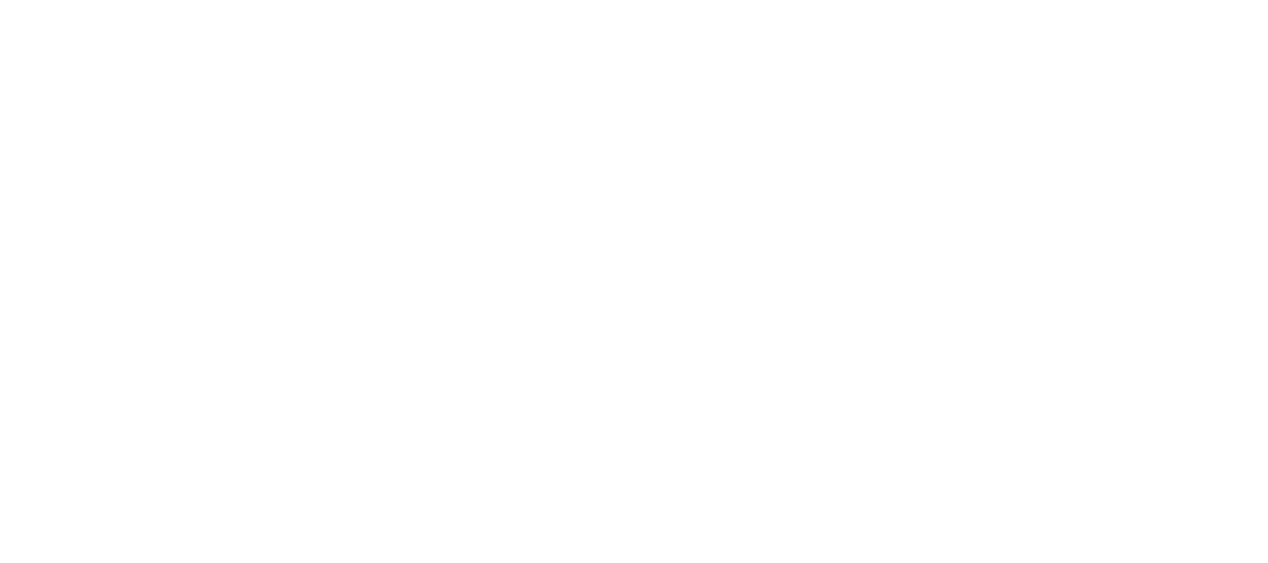 Mind Plus International Chess Academy